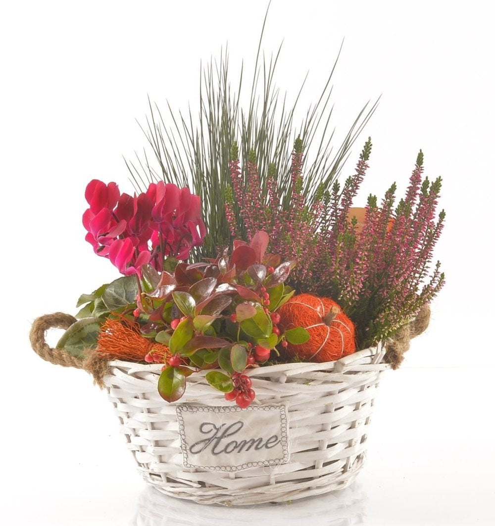 Herbstpflanzen in einem weißen Korb