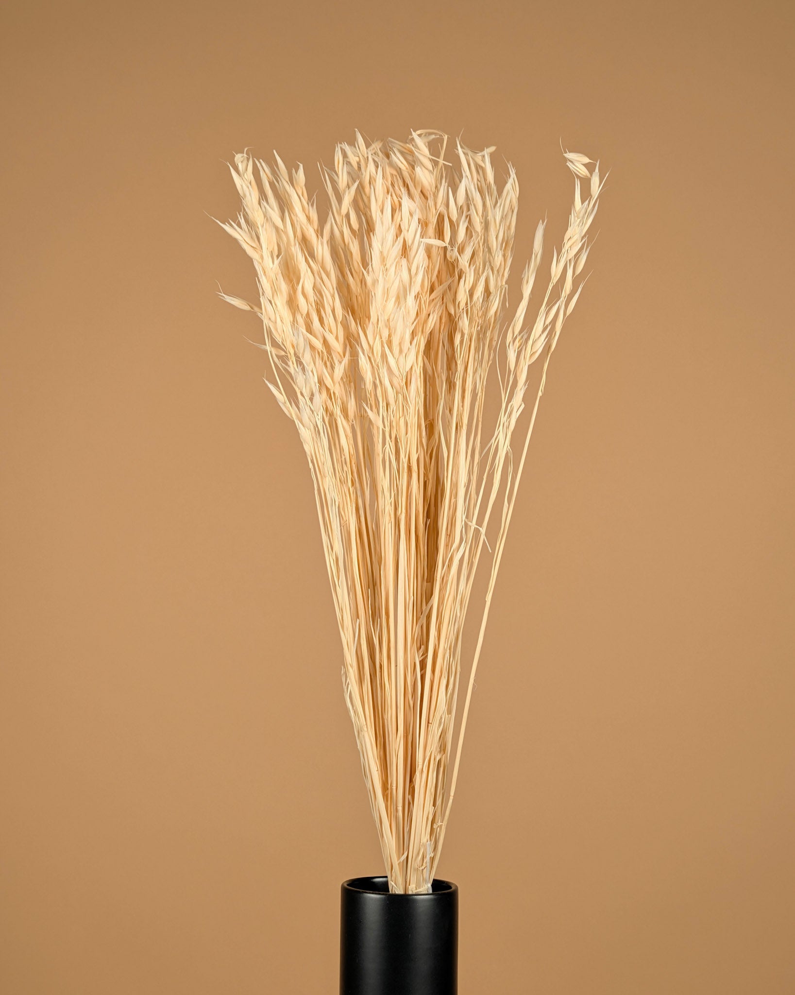 Dried oats (Avena) bleached