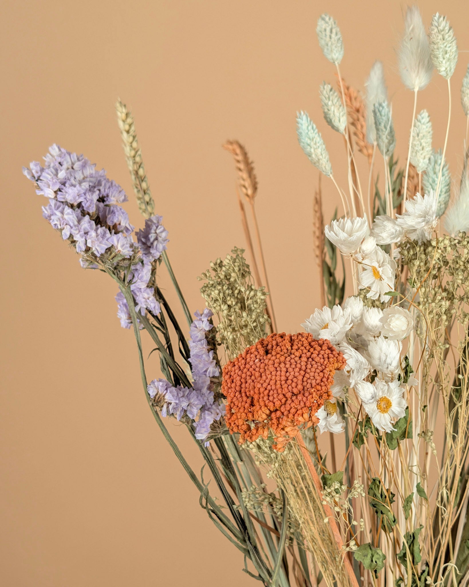 Le bouquet sec a vraiment aimé