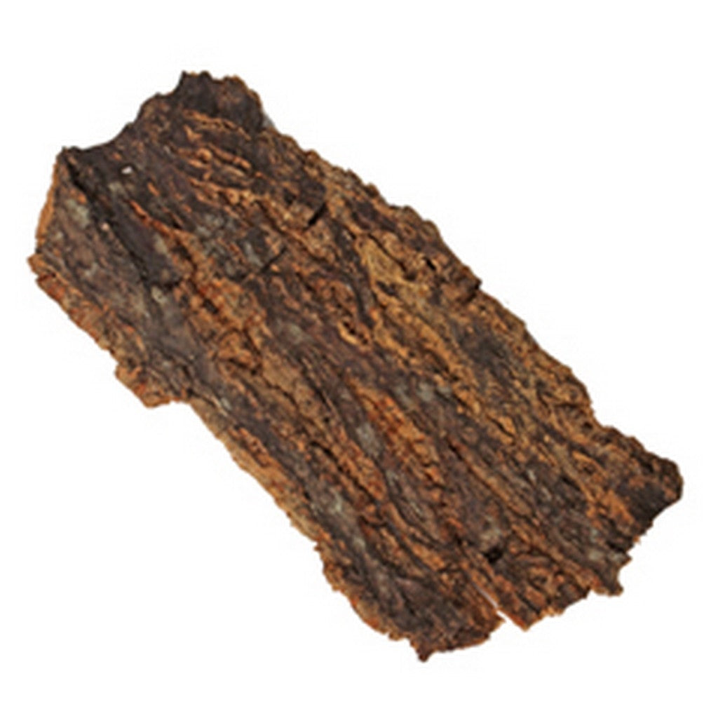 Birkenrinde 7 cm x 18 cm x 1 cm
