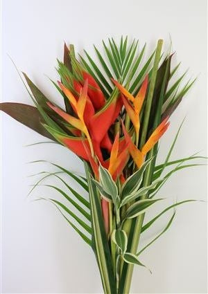 Tropical Bouquet Cotiere