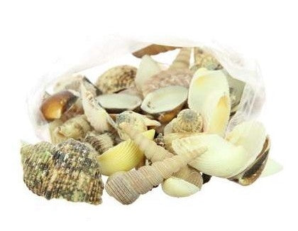 Shell mix in a 2 kg net