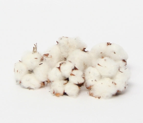 Natural cotton balls