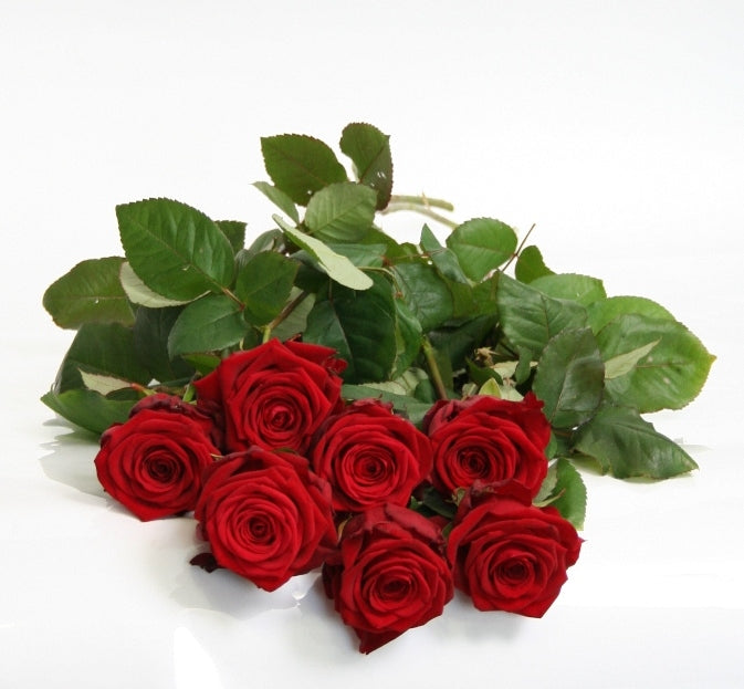 Loose large -flowered Dutch medium roses of 60 cm