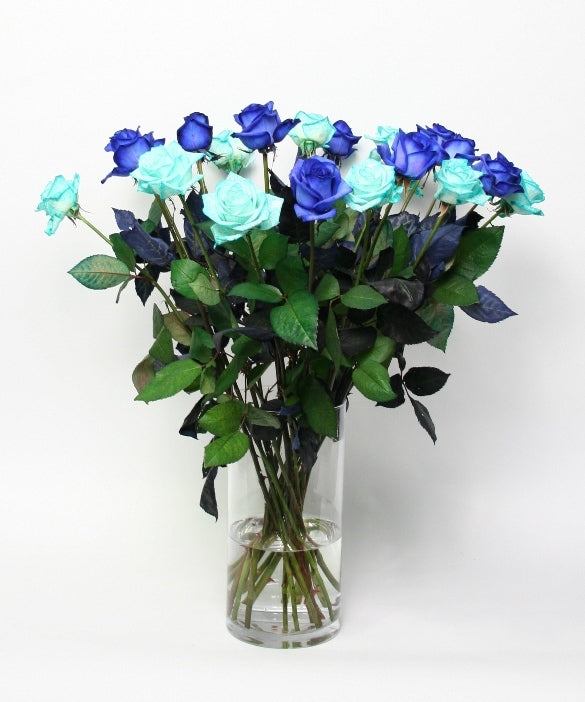 Roses Bouquet 10 roses bleues avec 10 glaces bleu