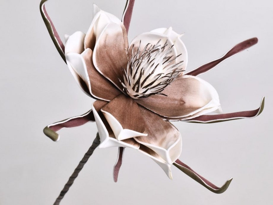 Fleur de mousse blanc mocca Ø 20 cm