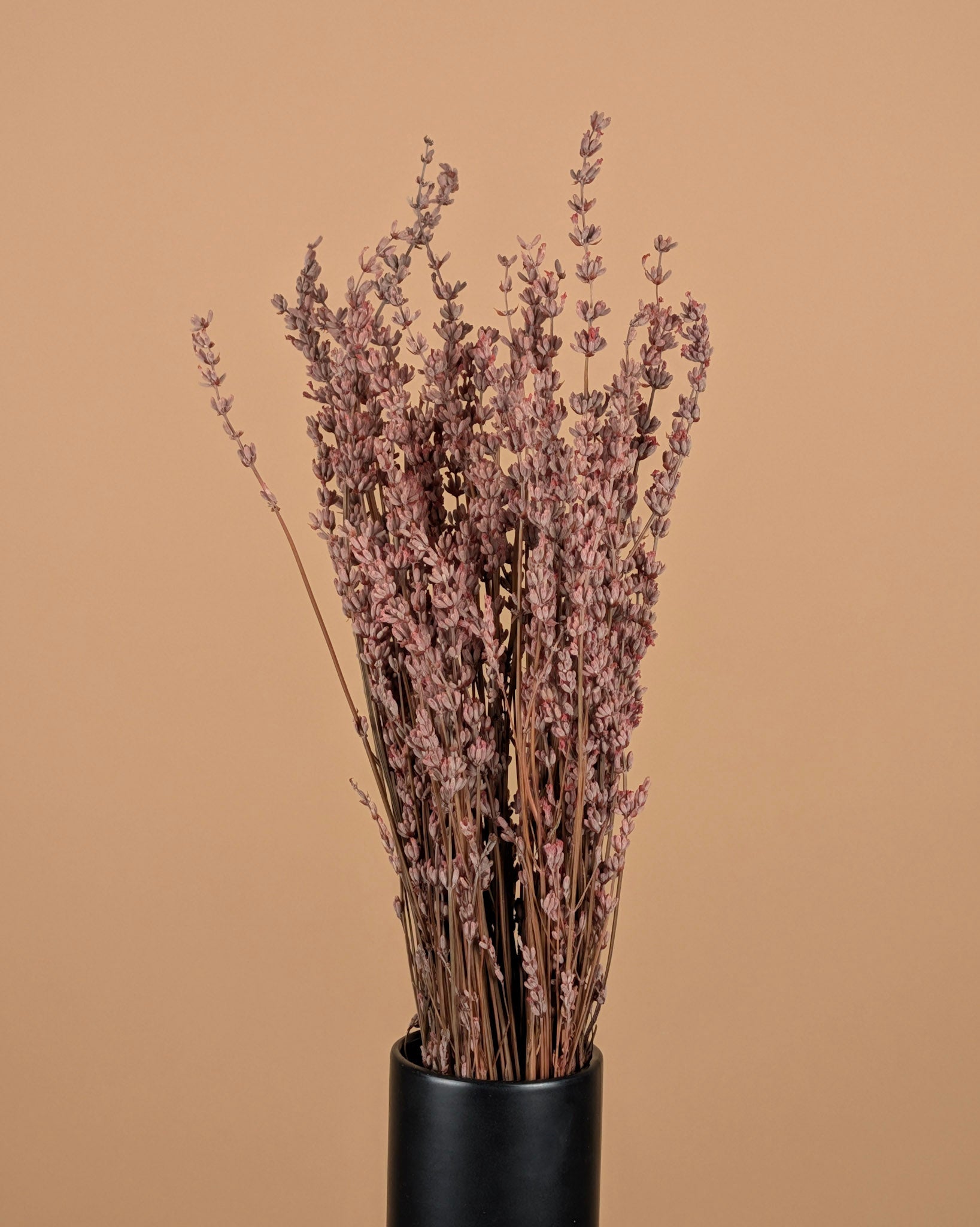 Botao Botton dunkelblau getrocknet