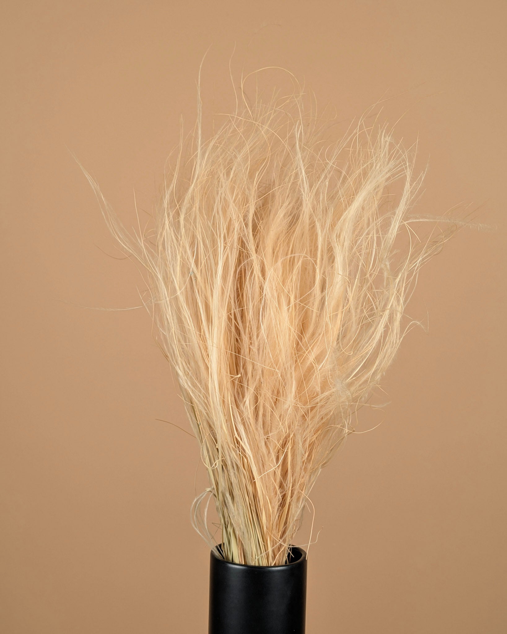 Stypa Penata Naturel