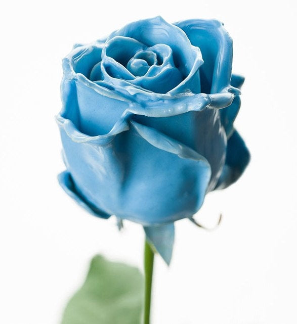 Bouquet de Great Flower Light Blue Cire Roses