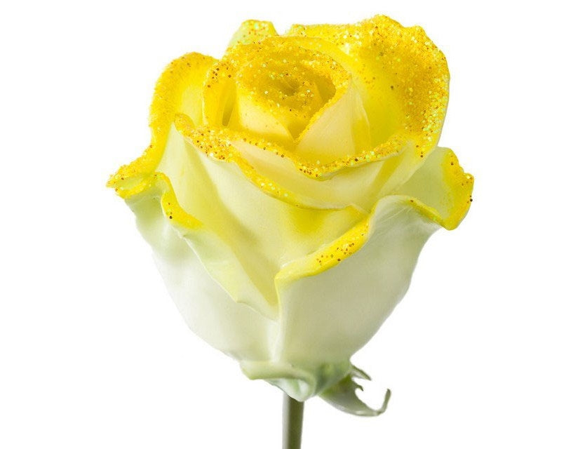 Bouquet de grandes roses de cire à flux blanc avec des paillettes jaunes
