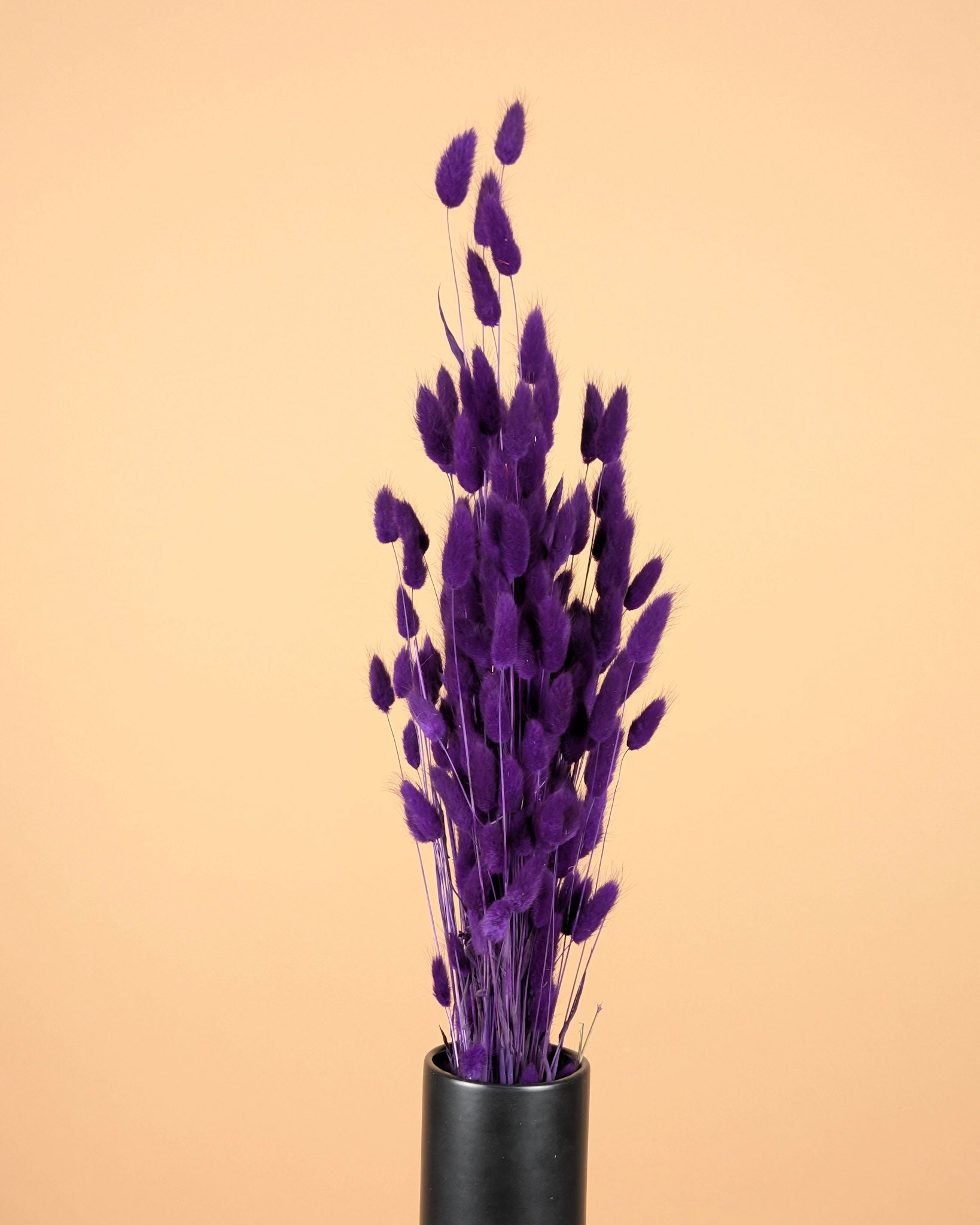 Botao Botton dunkelblau getrocknet