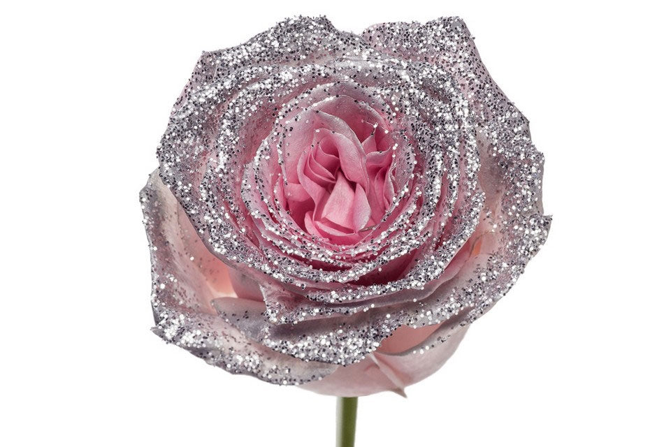 Blumenstrauß von großen rosa Rosen mit Silberglitter