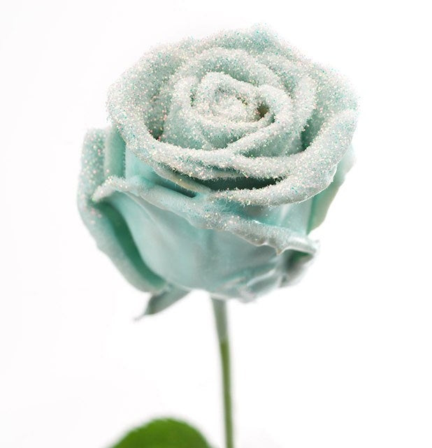 Blumenstrauß mit großem Blütenwachsrosens Vintage mit Schnee