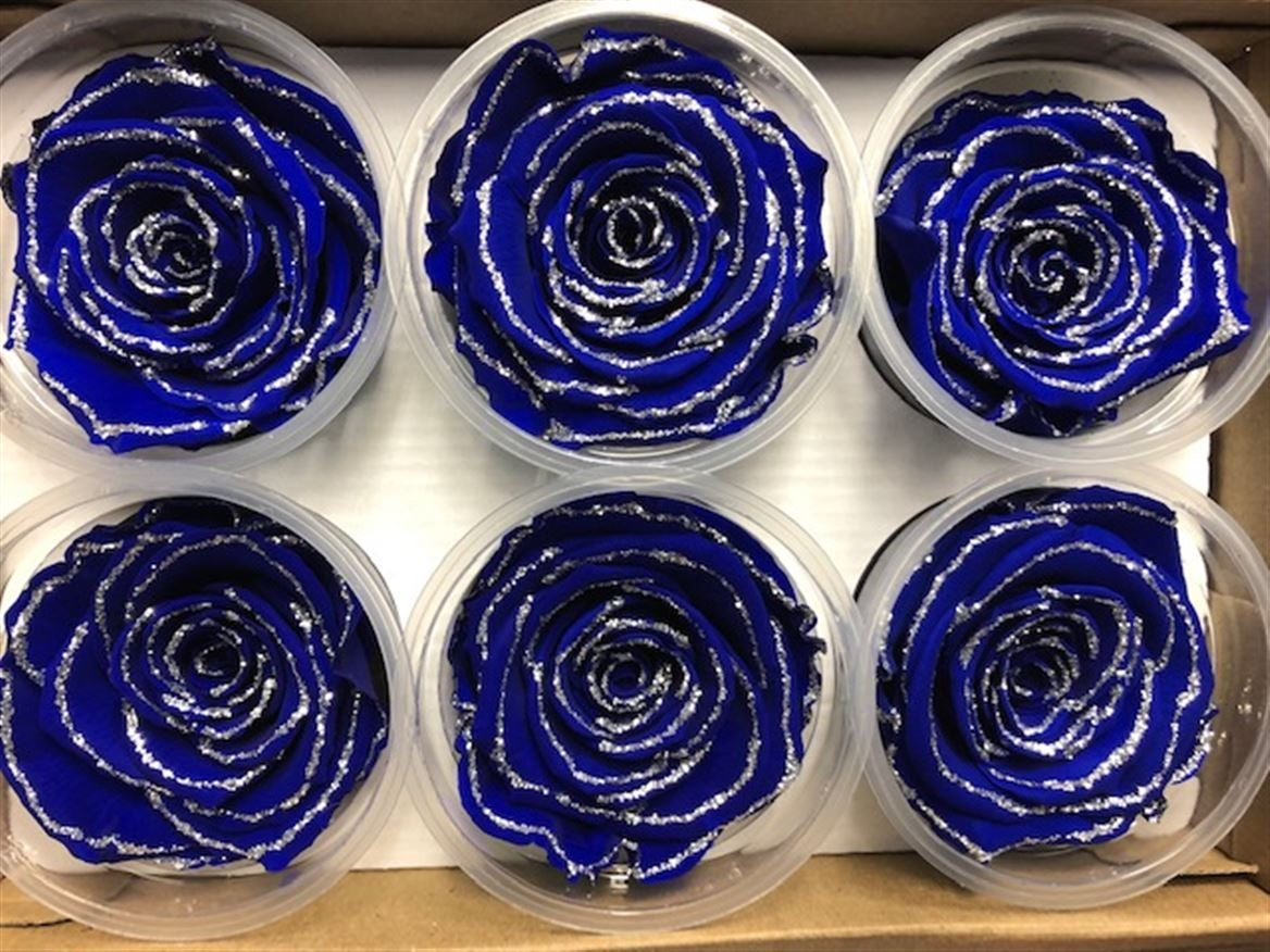 Konservierte blaue Rosen mit Glitzer in einer Geschenkbox