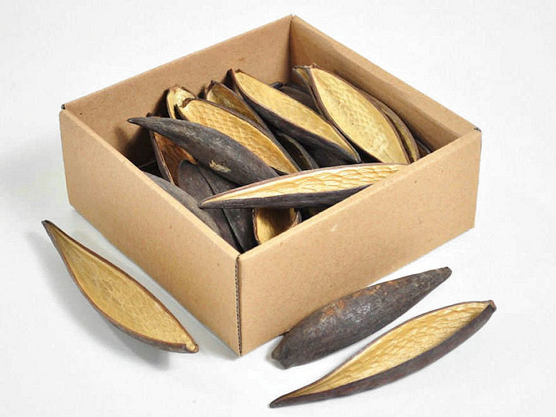 Canoinhas 10-14cm 30e.