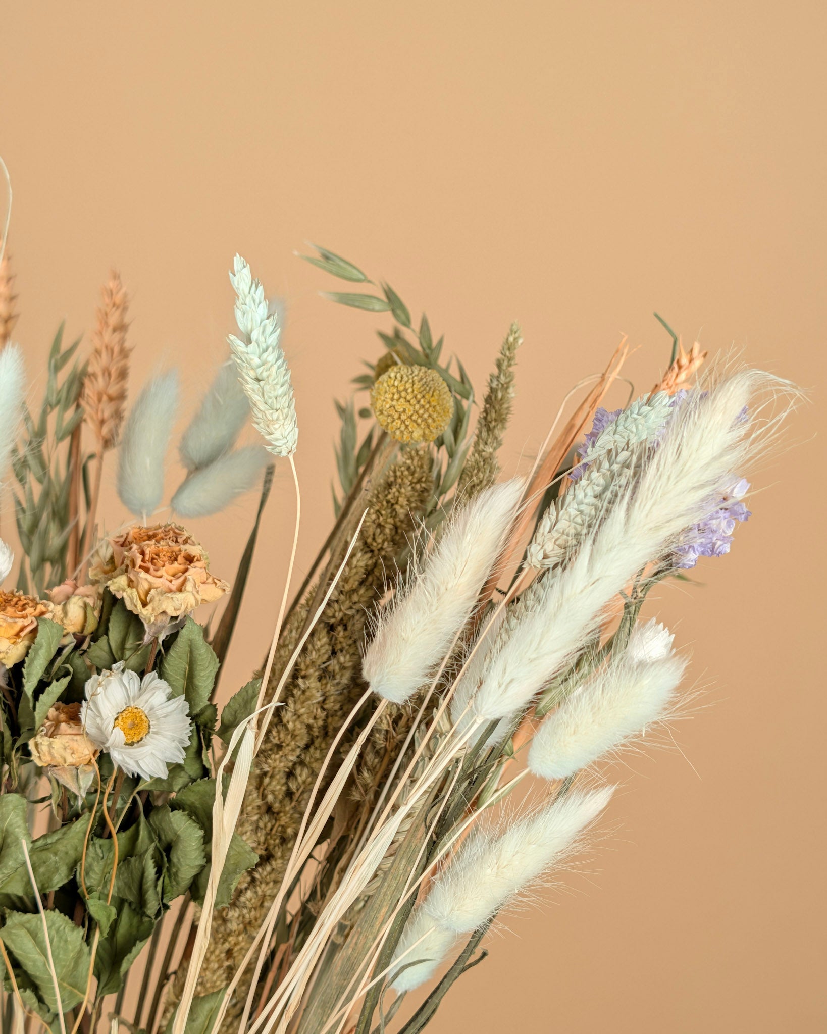 Le bouquet sec a vraiment aimé