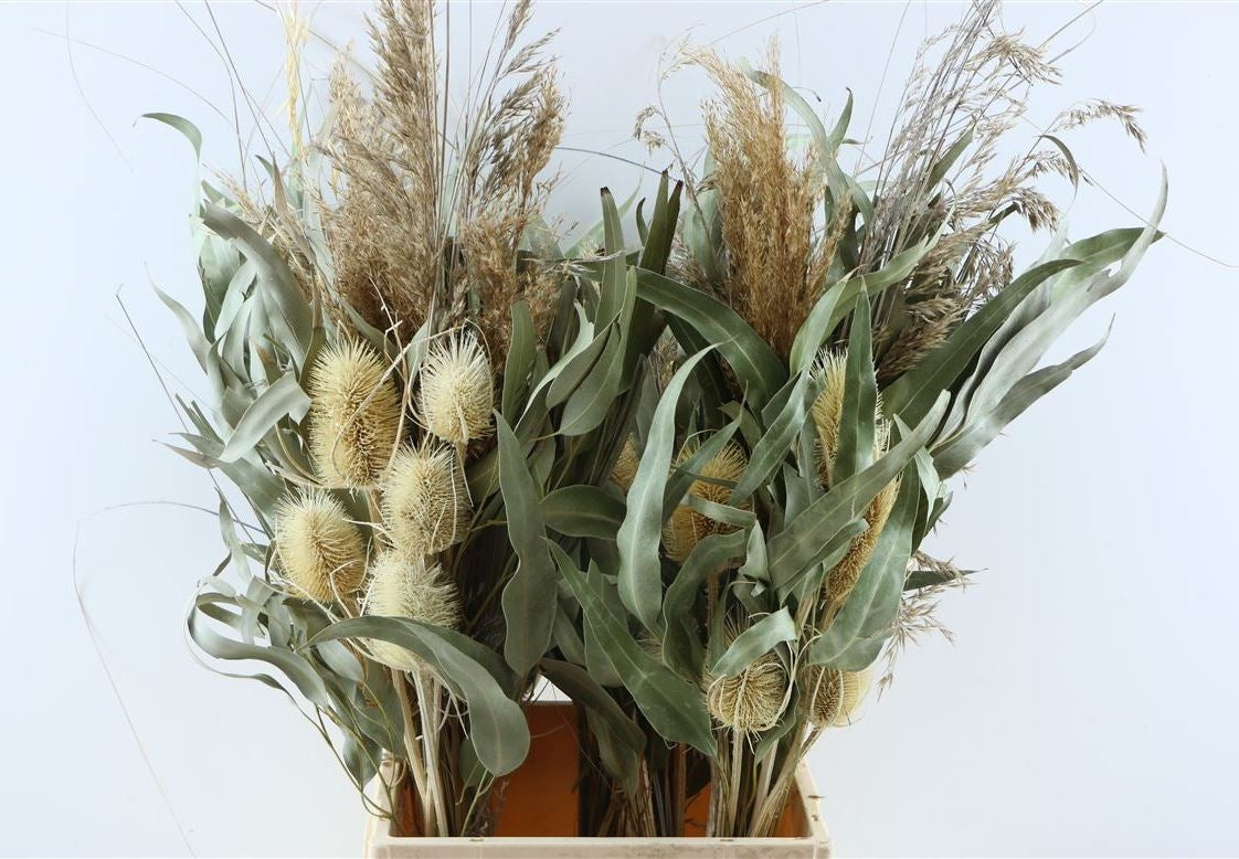 Dried bouquet Saint Jean Cap Ferrat