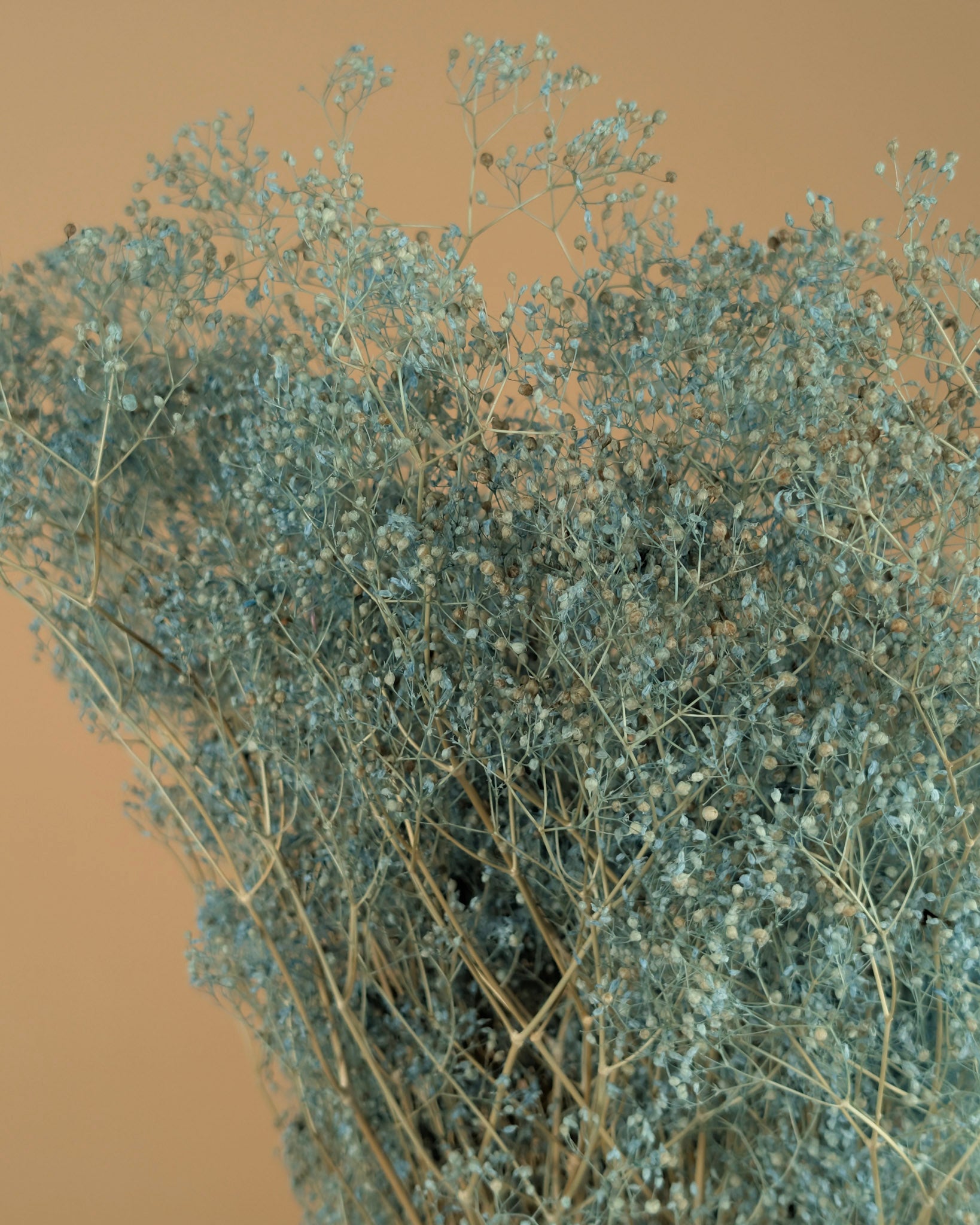 Mini gypsophila blue preserved (gypsum)
