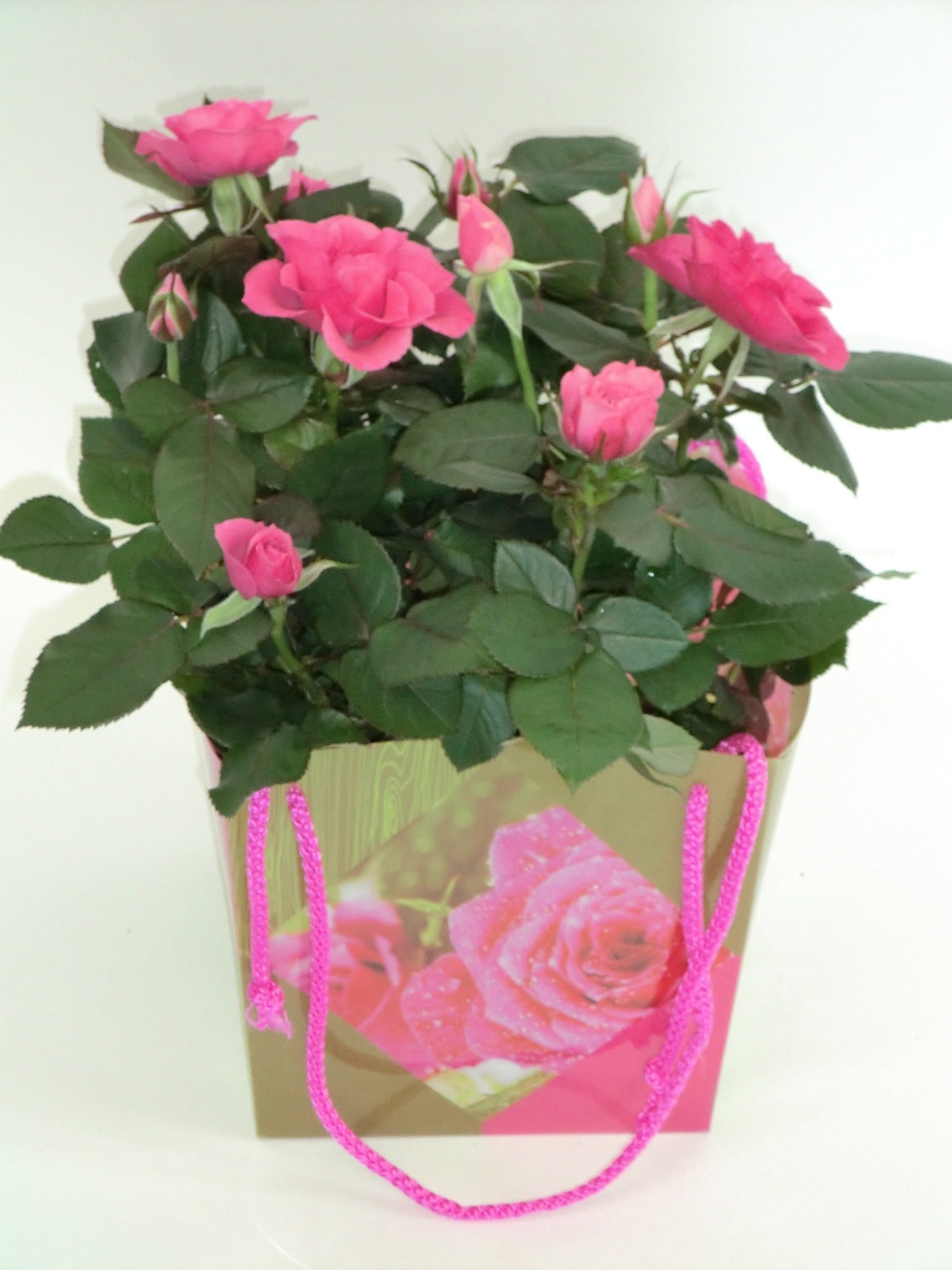 Potroos dans un sac de fleurs