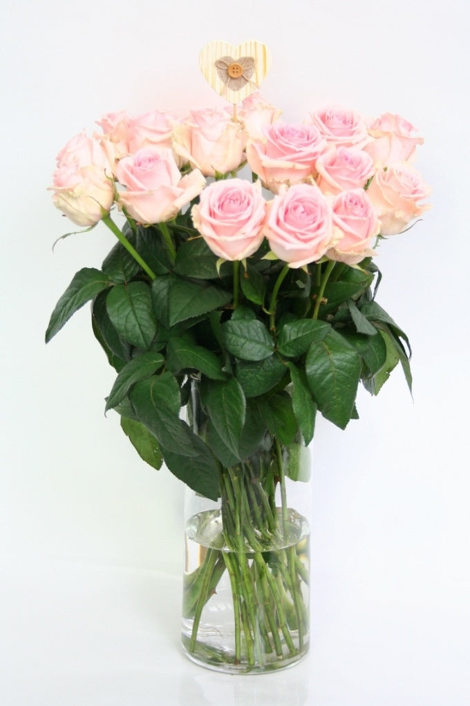 Roses Bouquet 10 moyens de roses roses douces fleuries longues moyennes