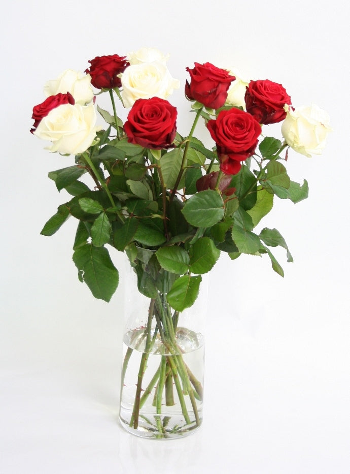 Roses bouquet of large -flowered red and white roses