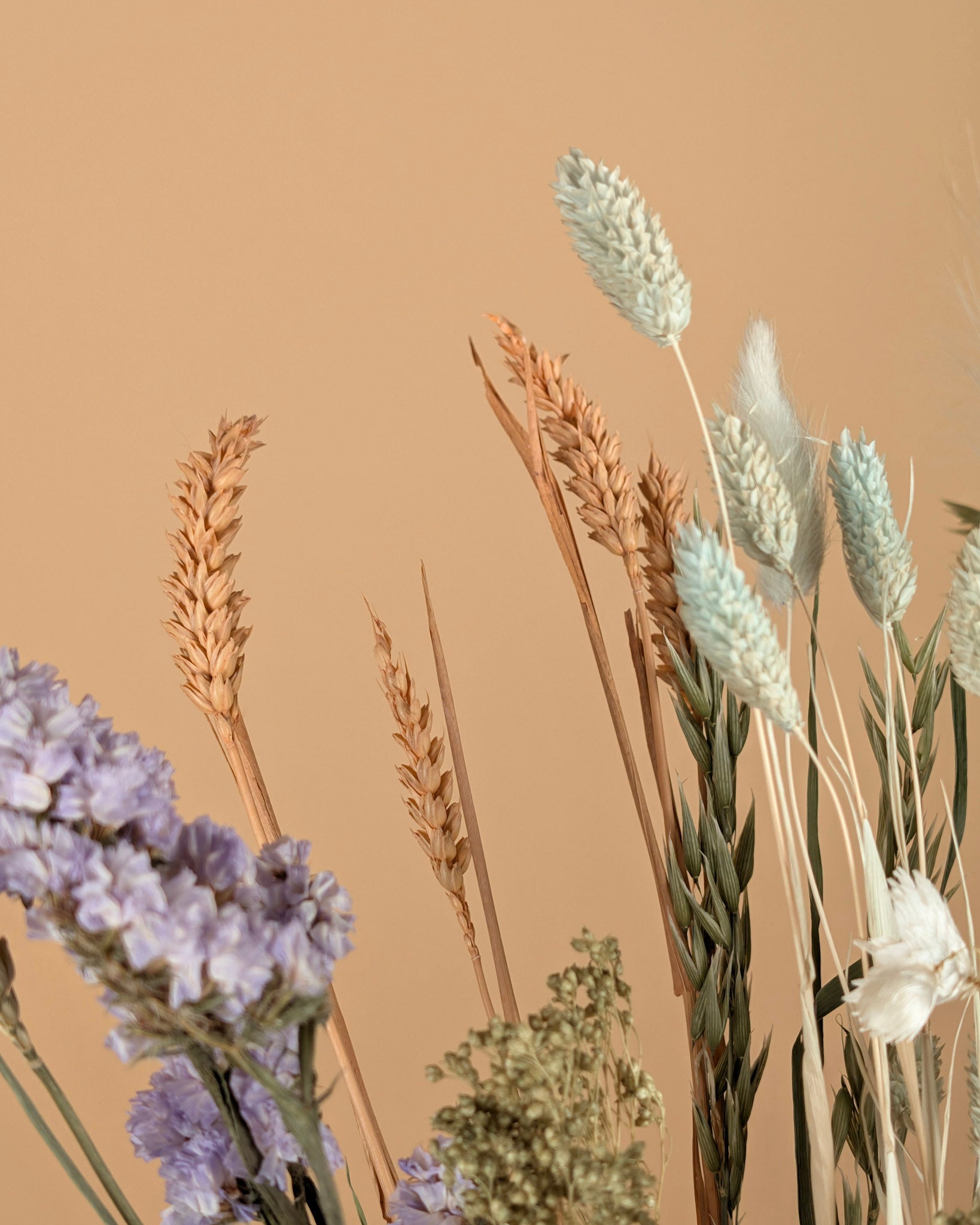 Le bouquet sec a vraiment aimé