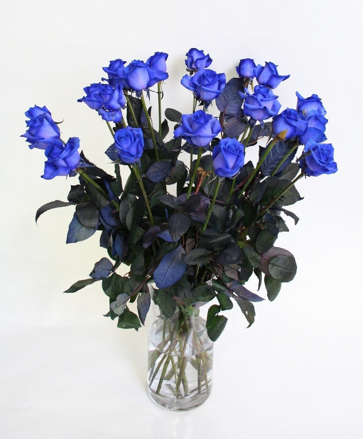 Roses Bouquet de 10 longues roses bleues