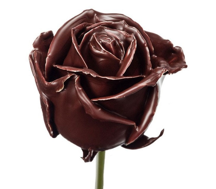 Wax rose bouquet brown