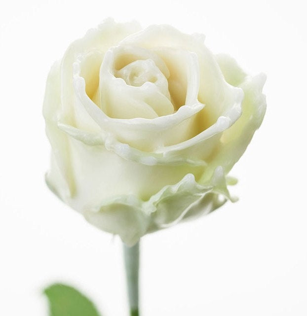 Wax roses bouquet white