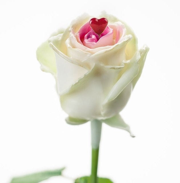 Roses de cire Bouquet blanc avec un cœur rose et un coeur rouge