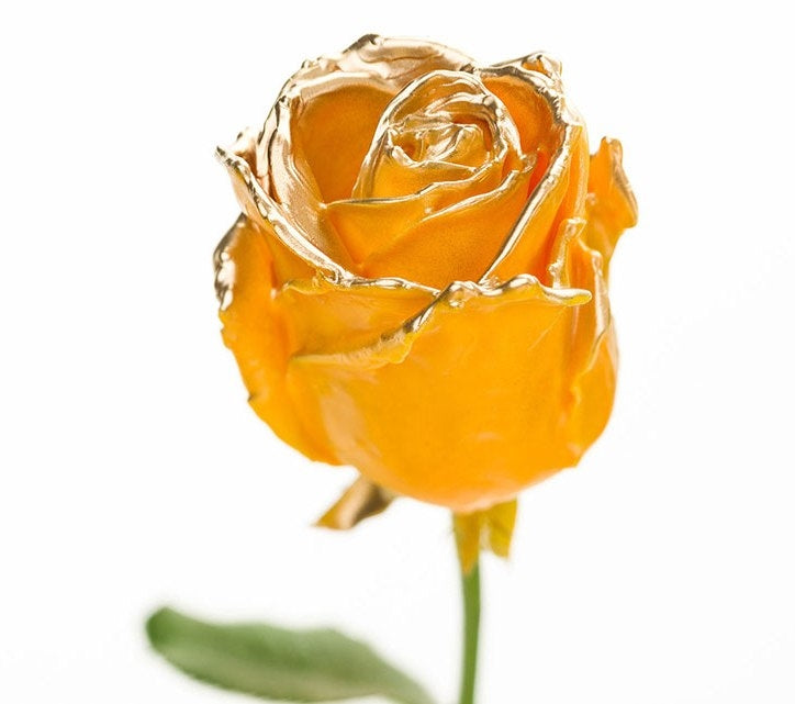 Wax roses bouquet ocher with a golden blush