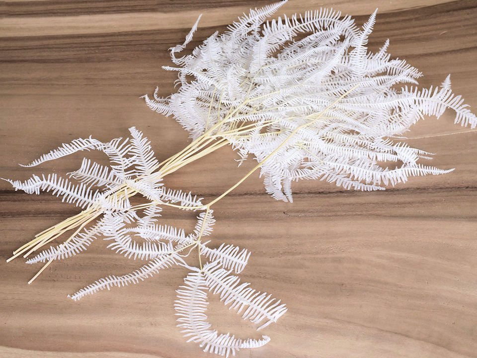 Segel XL Dulst 70 cm 10pcs