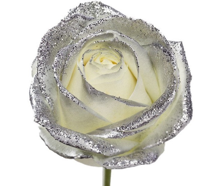 Bouquet of long white roses with silver glitter
