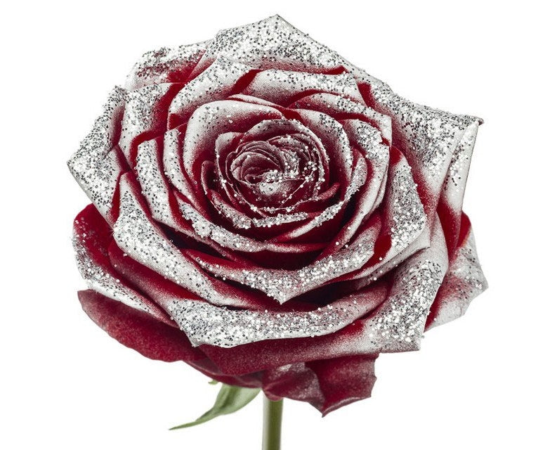 Bouquet de longues roses rouges avec des paillettes argentées