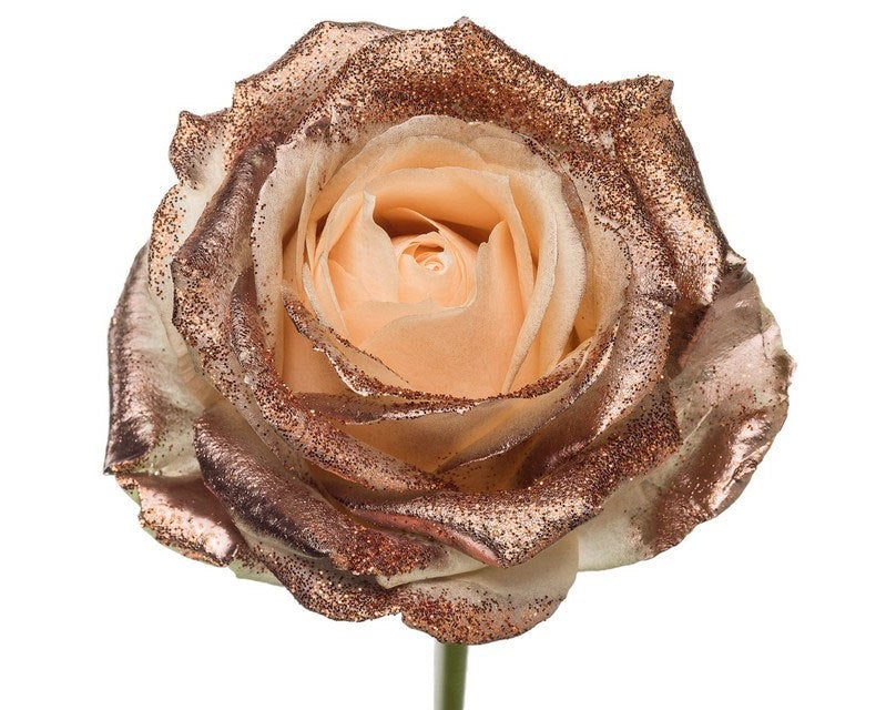 Bouquet of Lange Peach Roses with copper glitter