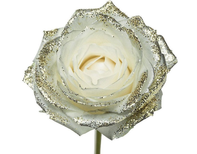 Bouquet of long white roses with mother -of -pearl glitter