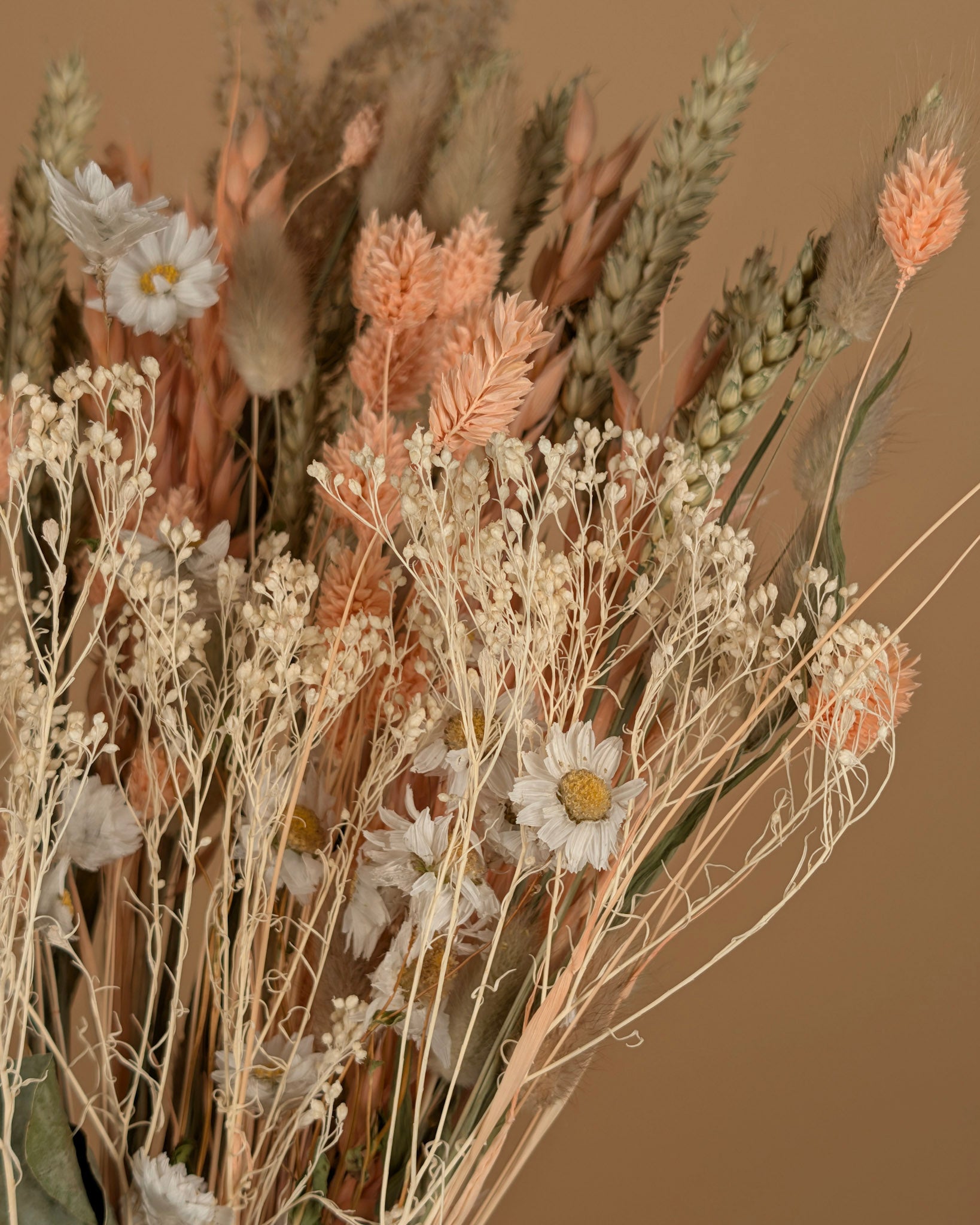 Le bouquet sec a vraiment aimé