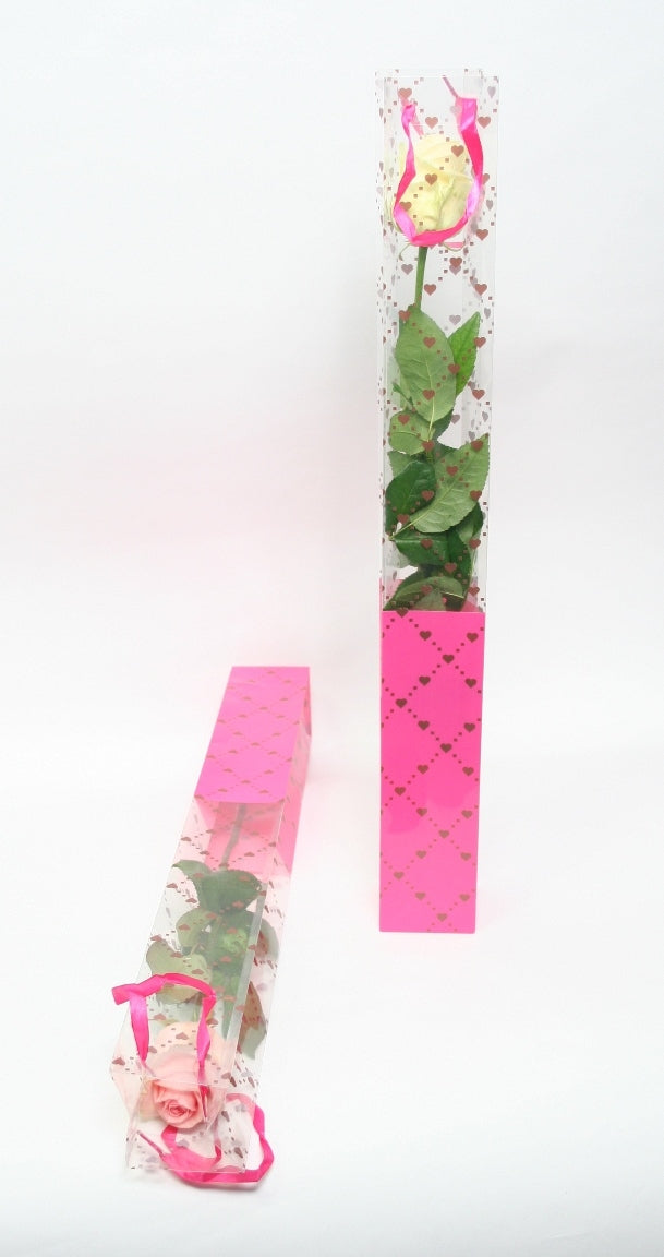 1 Roos in een luxe koker vanaf 10 Rozen met koker