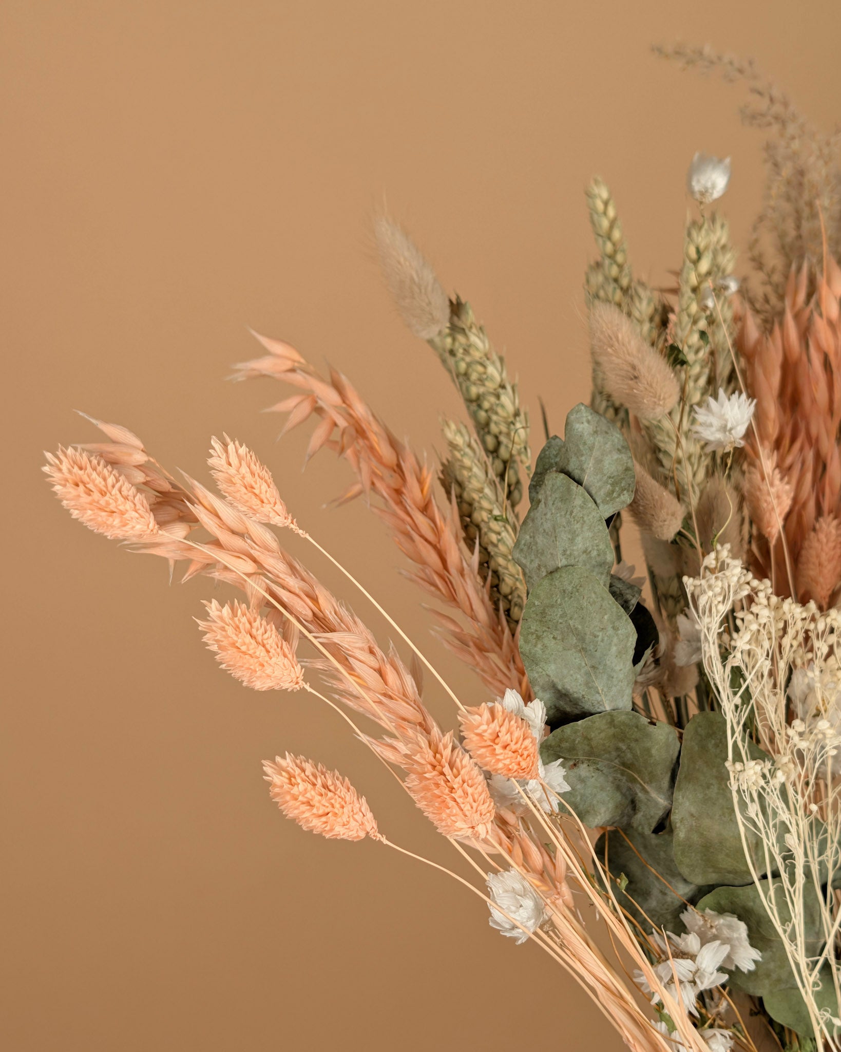 Le bouquet sec a vraiment aimé