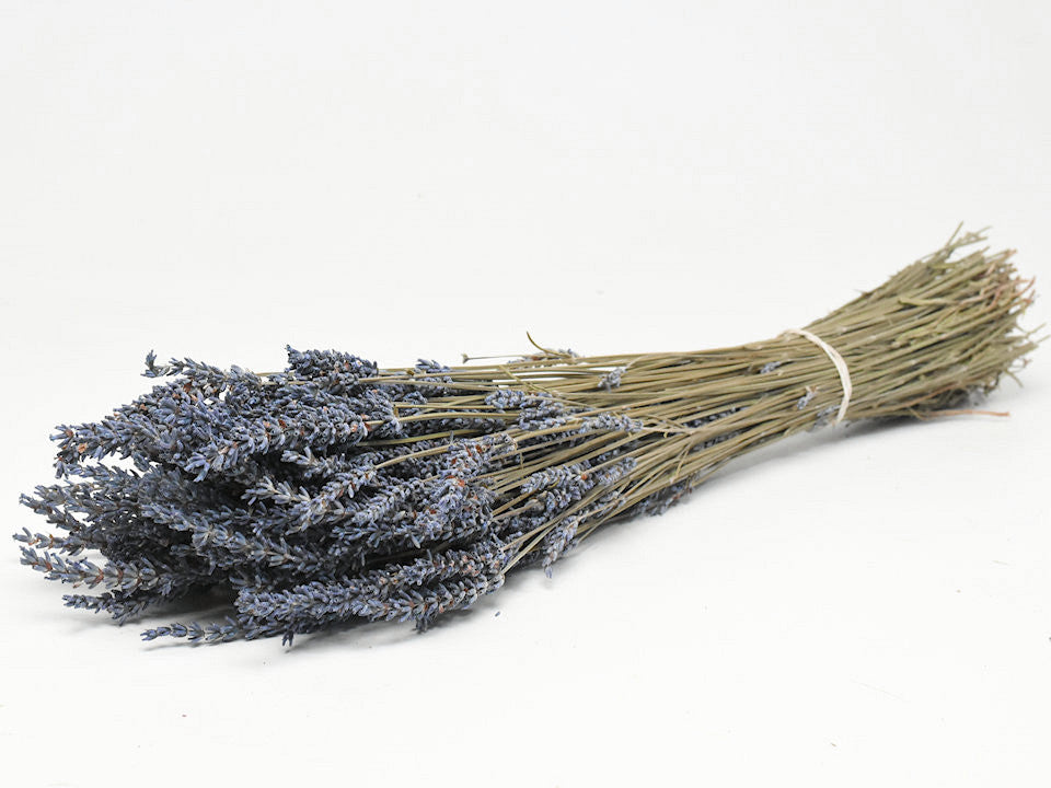Dried Lavendin 40cm 100gr