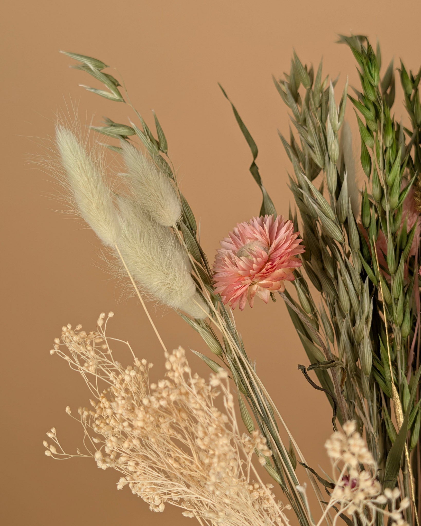 Le bouquet sec a vraiment aimé