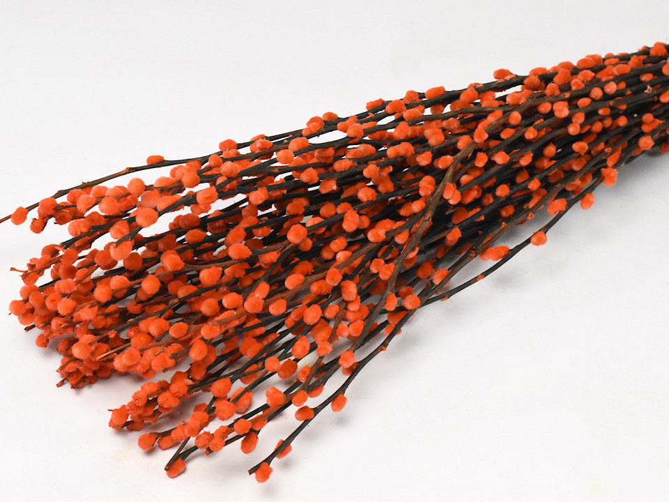 Willow catkins 70cm orange 50-suit