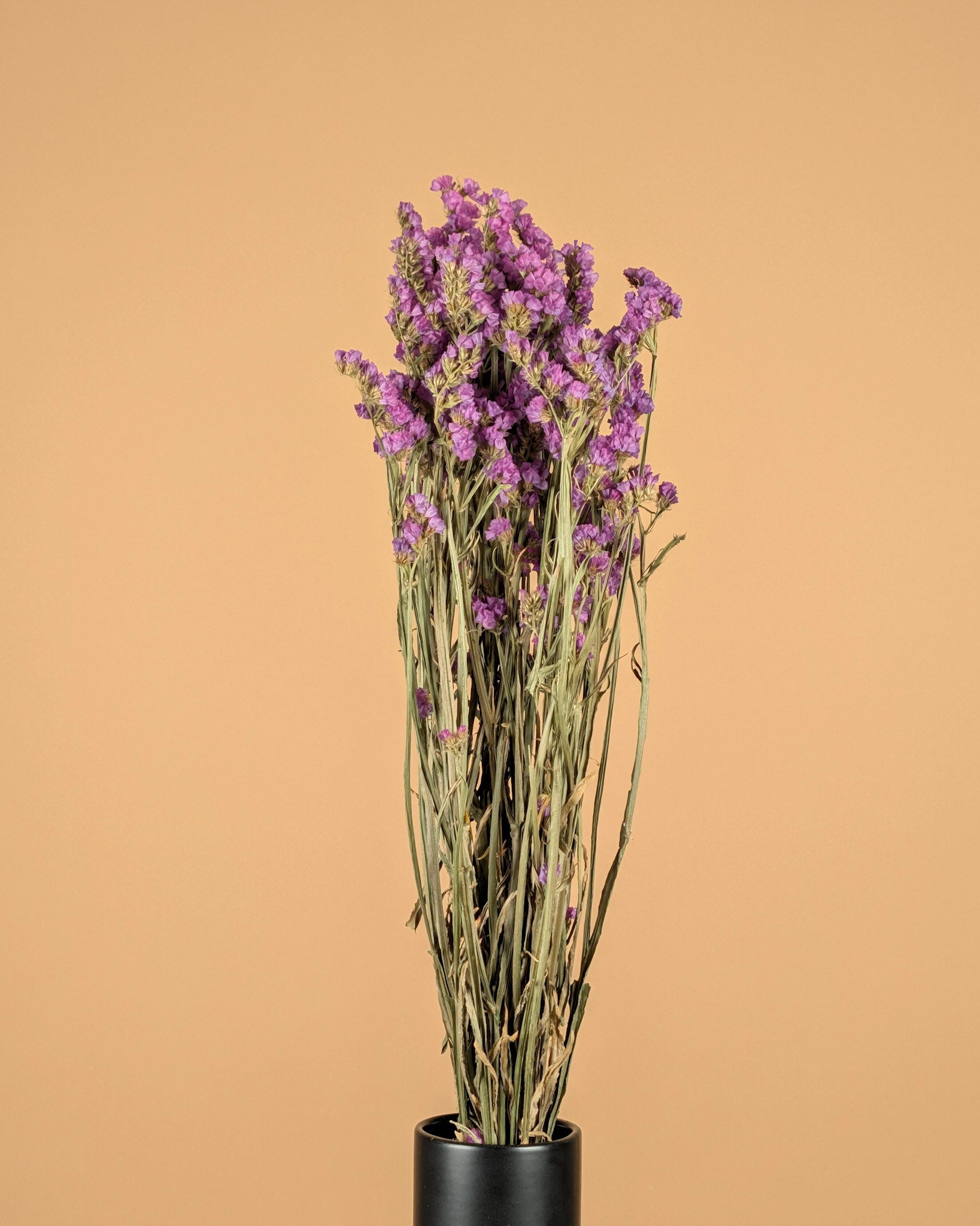 Gedroogde statice (lamsoor) – roze