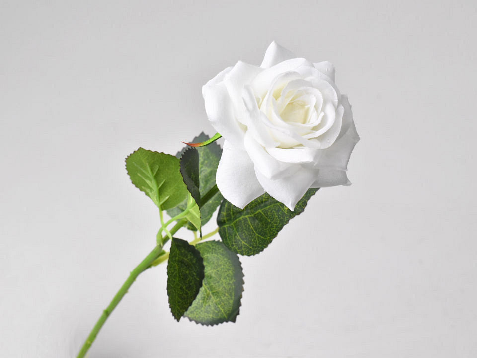 Roos crème d6cm l43cm