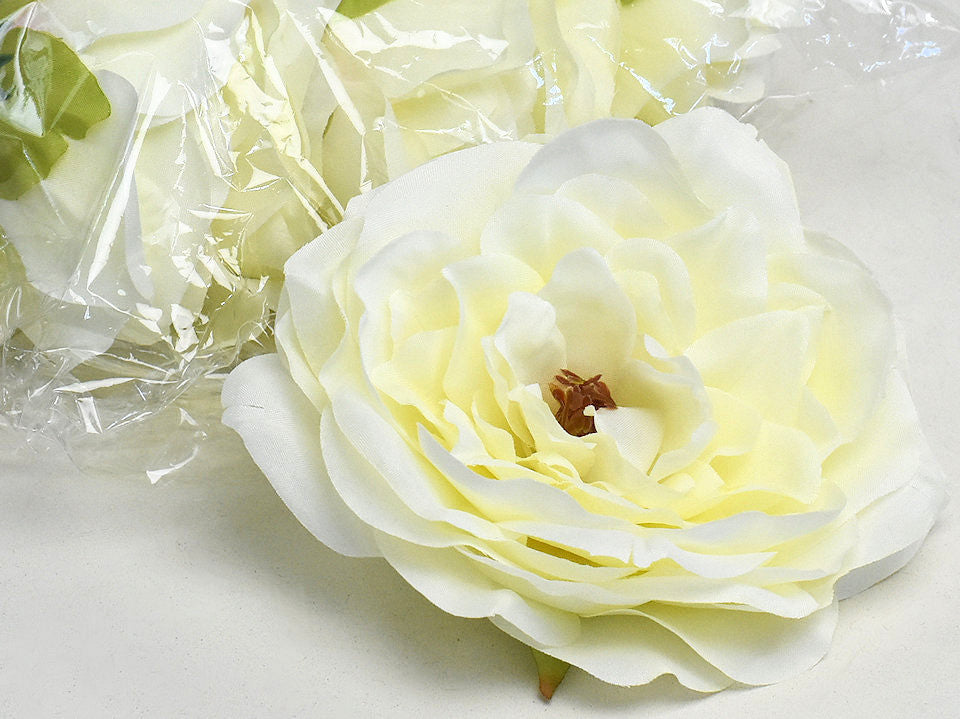 Peony Cream D13cm