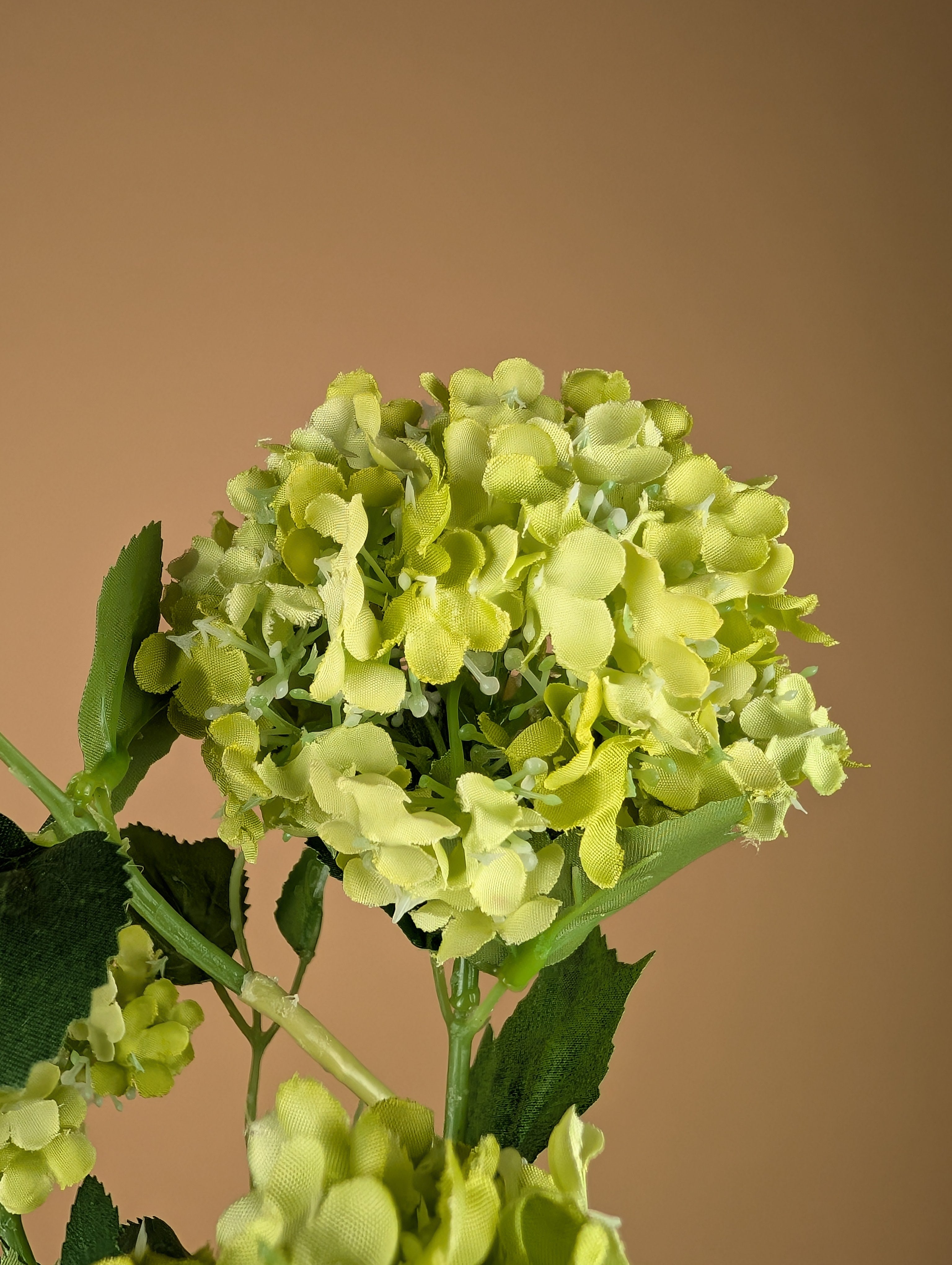 Zijde Viburnum Snowball – Groen (75 cm)