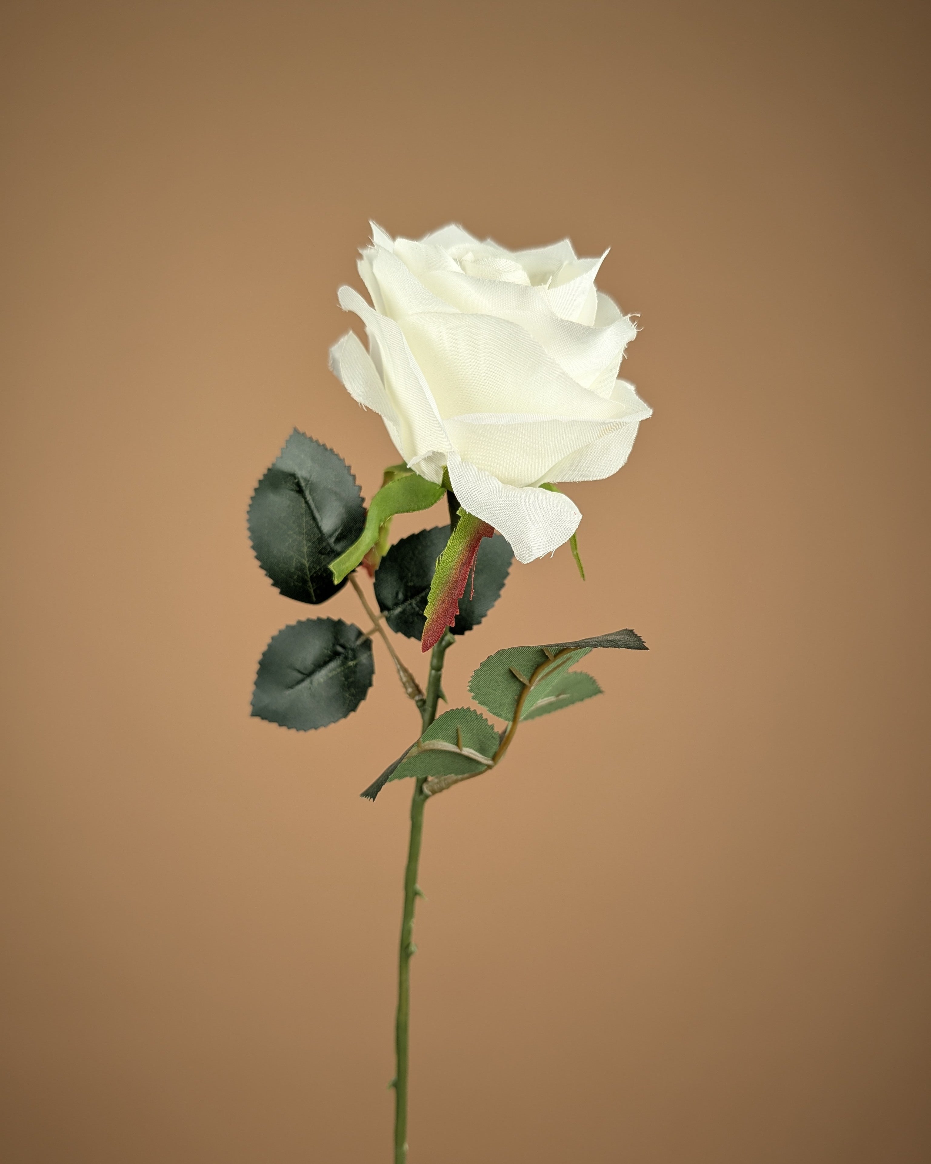 Zijde Roos Simone – Ivoorwit (45 cm)