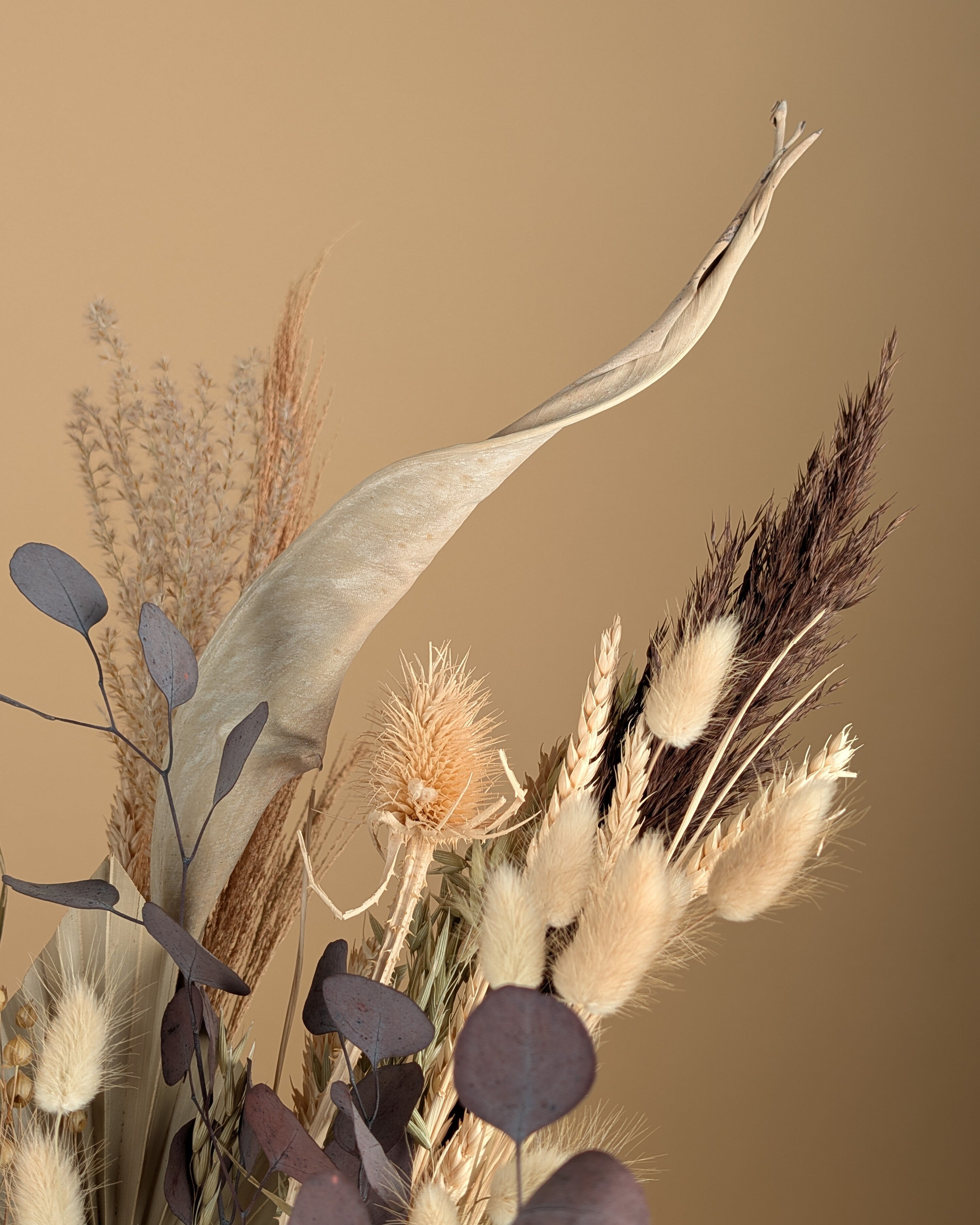 Droogboeket cassonade