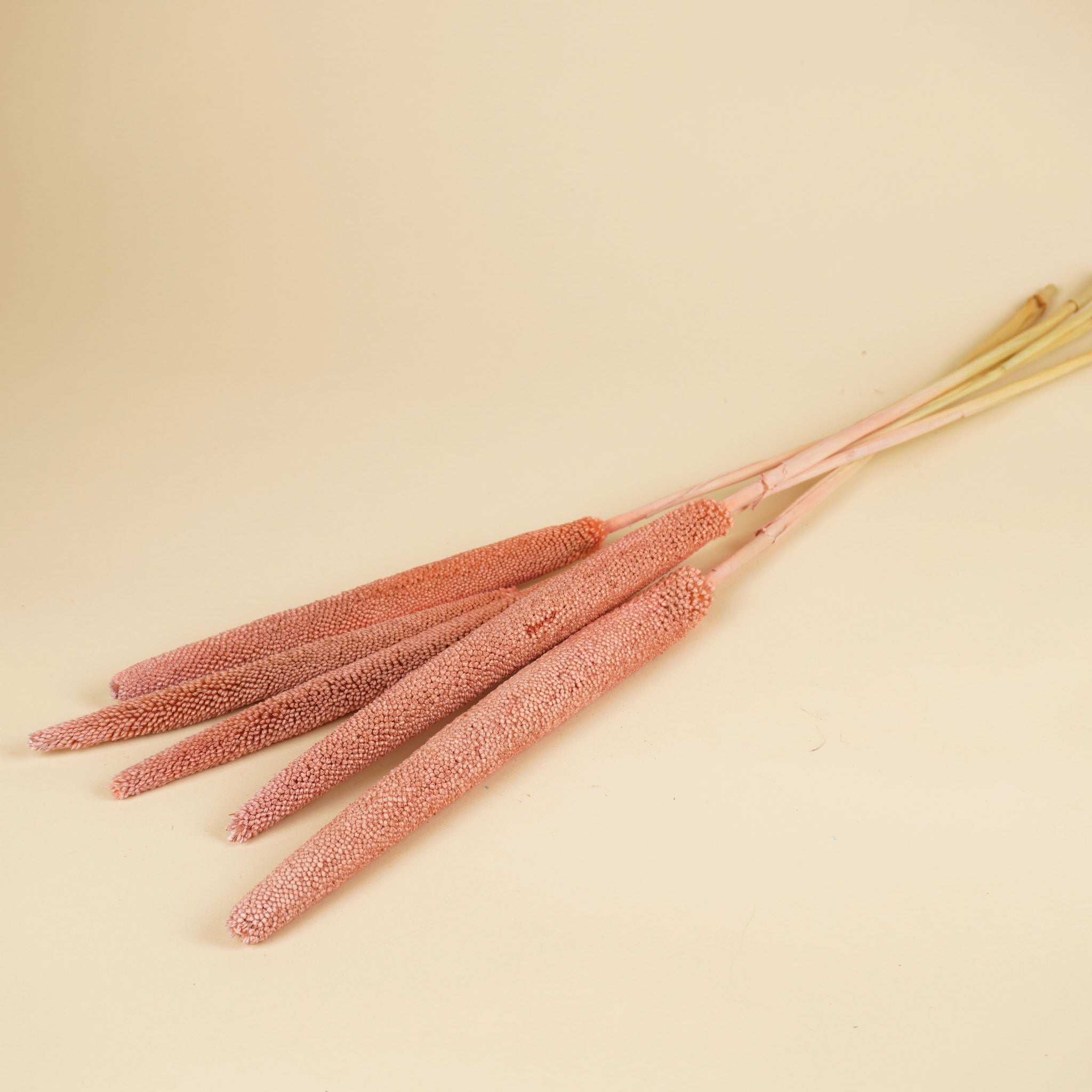 Babala Light Pink