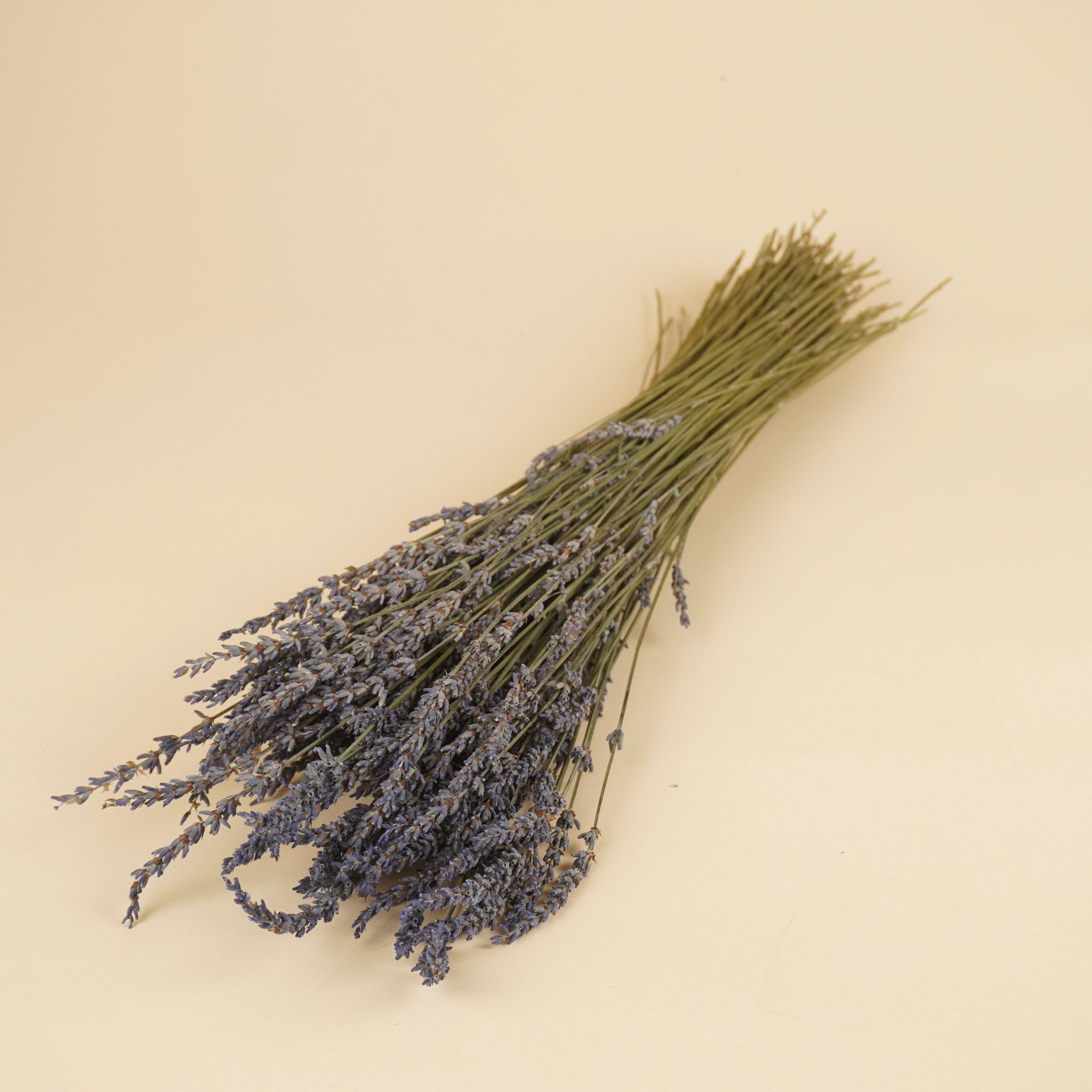 Lavande séché bleu naturel